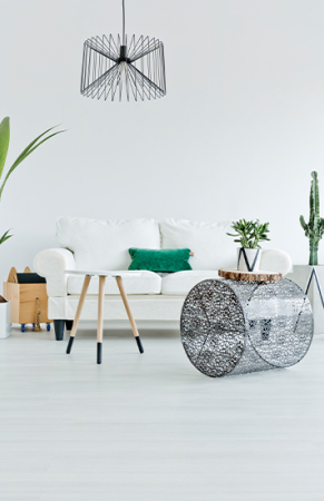 Moodboards y Distribución de Espacios